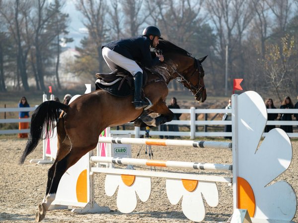 Comment structurer un programme de fitness pour les nageurs en eau libre?